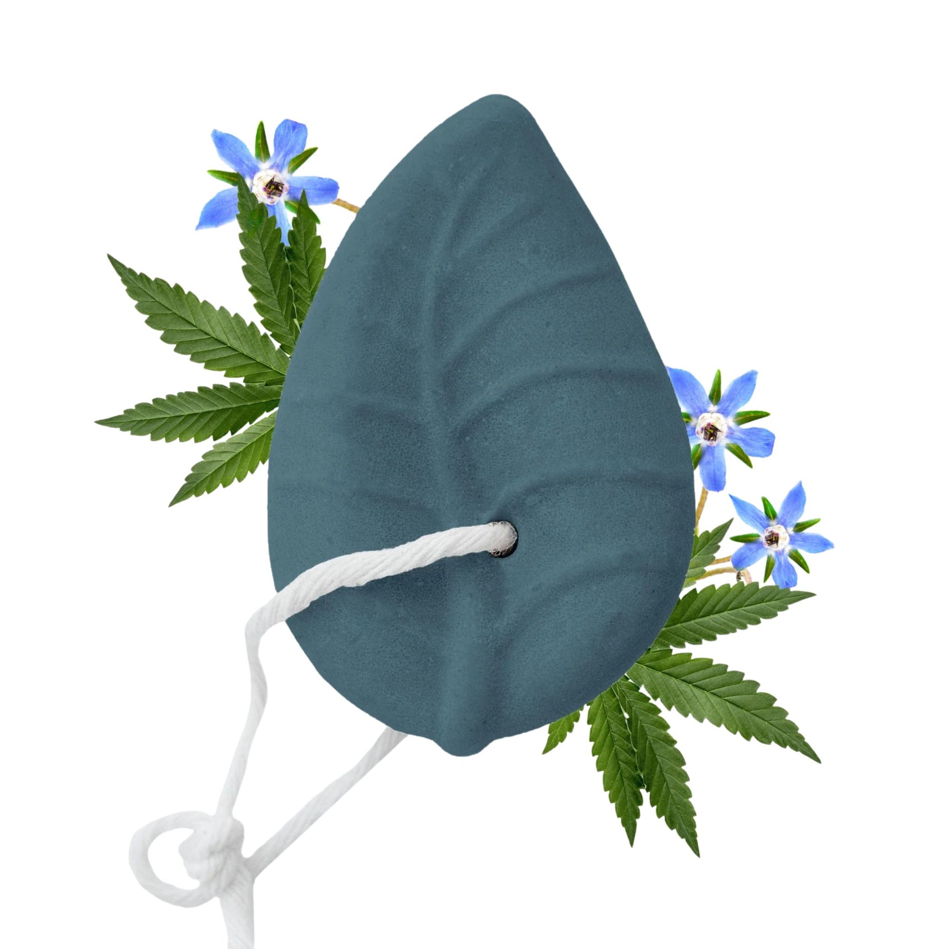 Balsamo Solido Borragine e Canapa