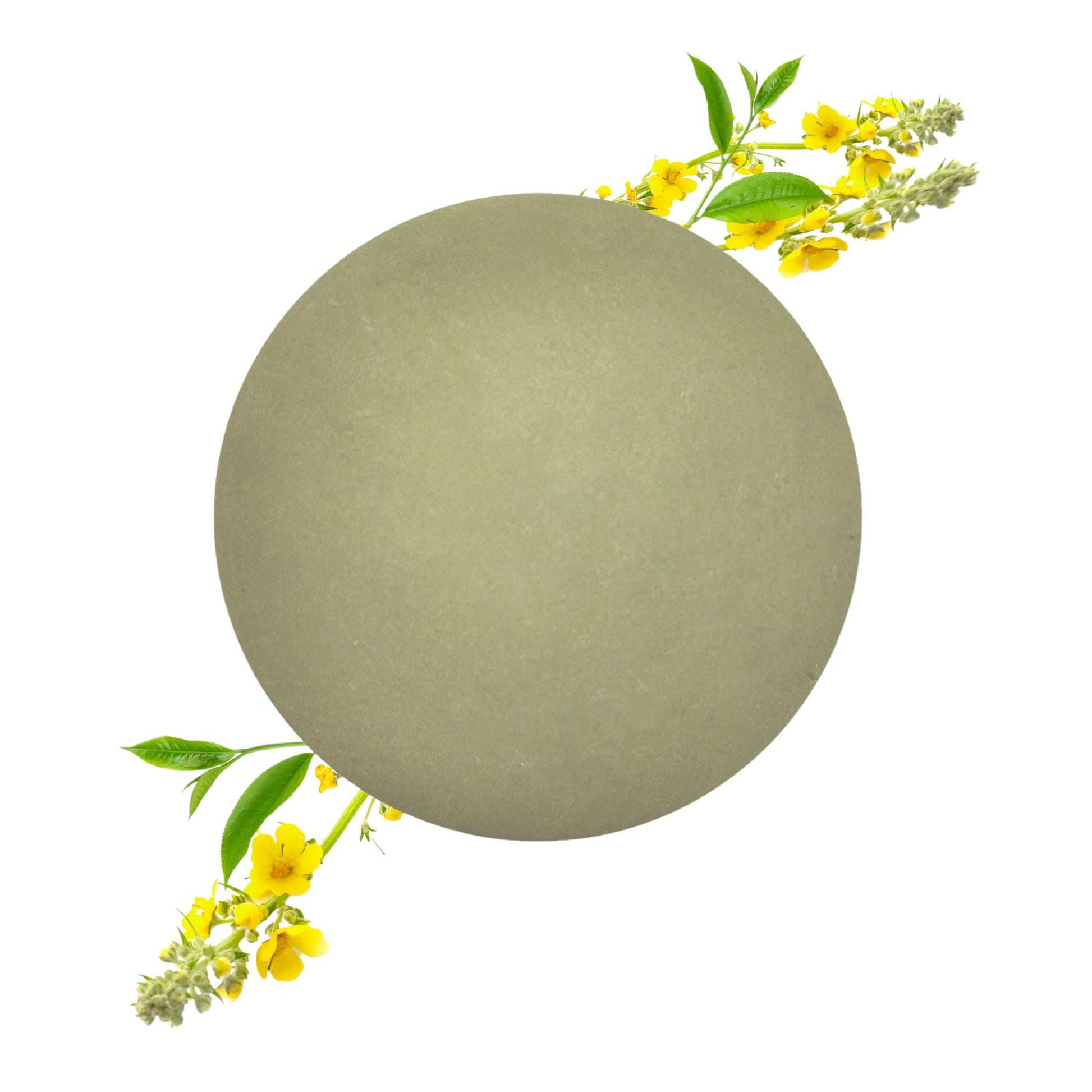 Docciaschiuma solido Verbasco